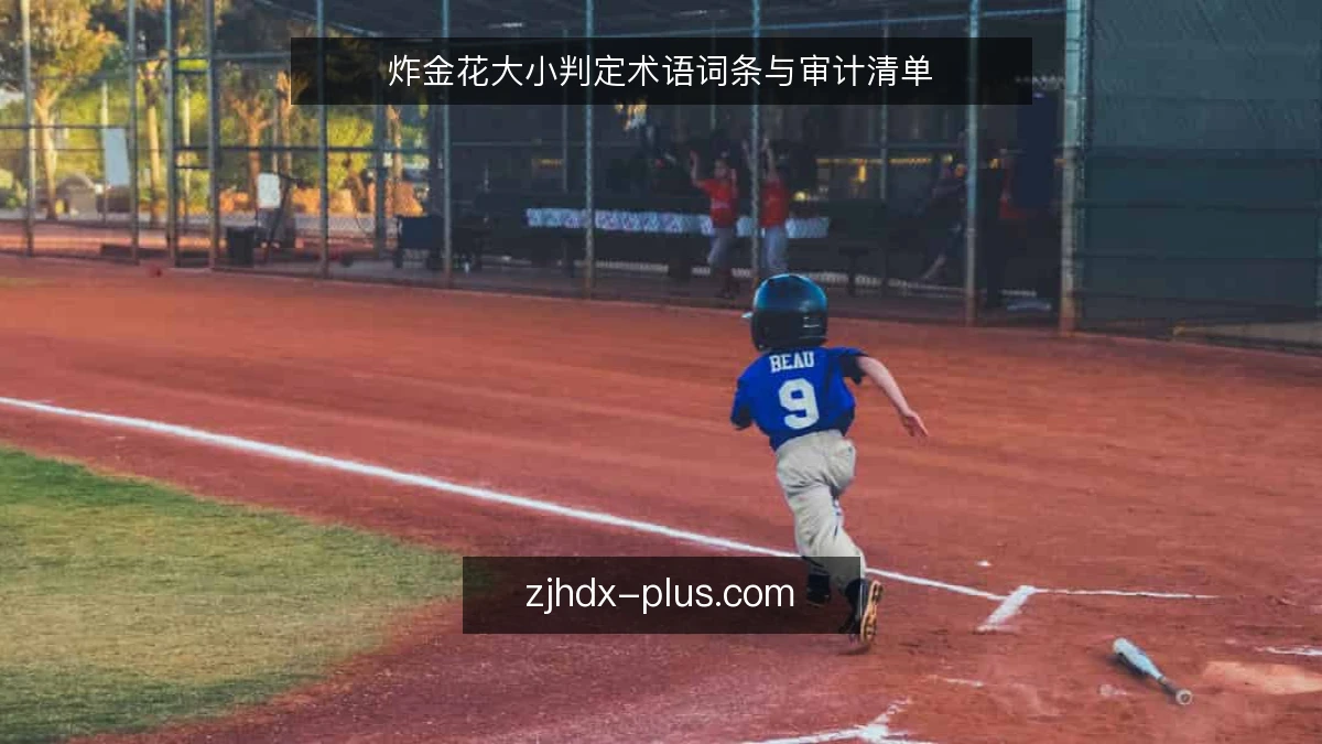 炸金花大小判定术语词条与审计清单
