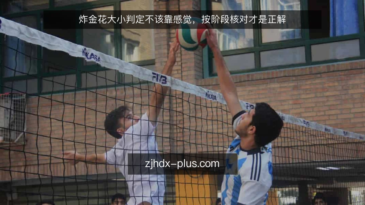 炸金花大小判定不该靠感觉，按阶段核对才是正解